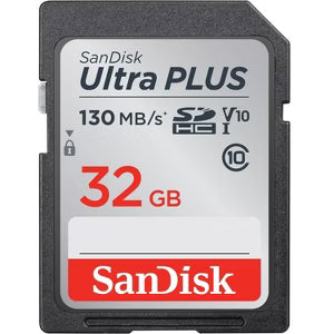 Staycies™ SD Card (32GB)